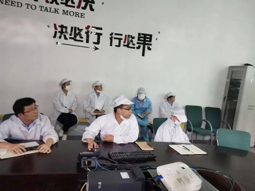 第十一事業部涂裝深圳工廠成功舉辦技術交流活動，共促工藝革新與質量提升